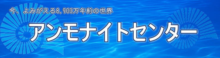 センター アンモナイト